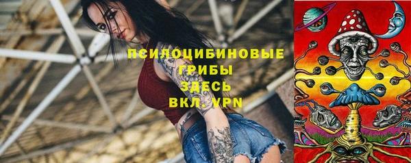 мдма Богданович